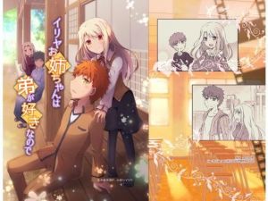 イリヤお姉ちゃんは弟が好きなので(桜月) [d_160151]