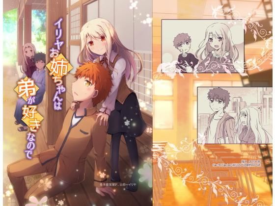 イリヤお姉ちゃんは弟が好きなので(桜月) [d_160151]