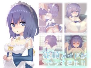 従順メイドがやってきた！！(せんか) [d_160674]