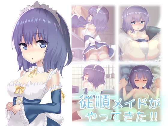 従順メイドがやってきた！！(せんか) [d_160674]
