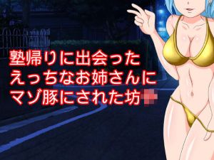 塾帰りに出会ったえっちなお姉さんにマゾ豚にされた〇〇(ハードコア001) [d_160761]