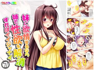 妹に欲情するなら姉で性欲を解消すればイイジャナイ 7巻(アロマコミック) [d_163573]