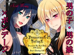 パラノーマルボンデージ(Acid Mary) [d_166779]