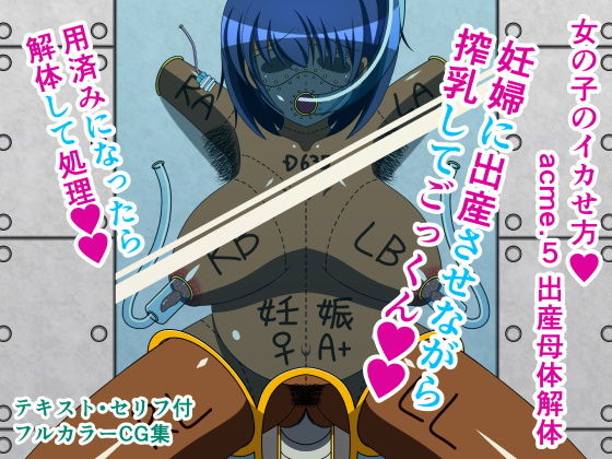 女の子のイカせ方 acme.5 出産母体解体(人工美少女製作所) [d_167152]