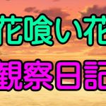 花喰い花観察日記(十八) [d_169005]