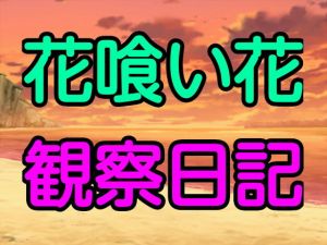 花喰い花観察日記(十八) [d_169005]