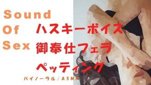 Sound Of Sex-ハスキーボイスな生理中の丸の内OLをひたすらペッティング、御奉仕フェラ→その後のいびき、寝息まで！バイノーラル/ASMR(ヨルマガ！ -ASMR Night Life Media-) [d_169569]
