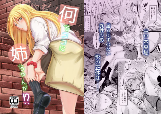 何でココに姉ちゃんが！？(Junk box) [d_170015]