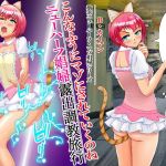 こんなふうにマゾにされていくのね。ニューハーフ娼婦露出調教旅行(Bカイマン) [d_171011]