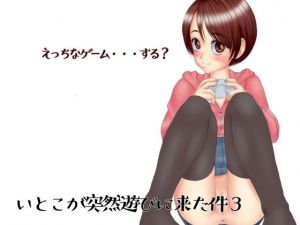 いとこが突然遊びに来た件3(ぱらだいす) [d_177641]