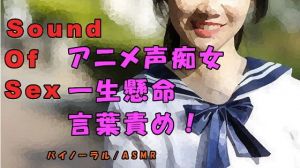 ノンフィクションSEXボイス！実録！素人アニメ声痴女が一生懸命言葉責めに挑戦！ ASMR/バイノーラル/オナサポ/言葉責め/乱交/M男向け/催●音声/処女(ヨルマガ！ -ASMR Night Life Media-) [d_177751]
