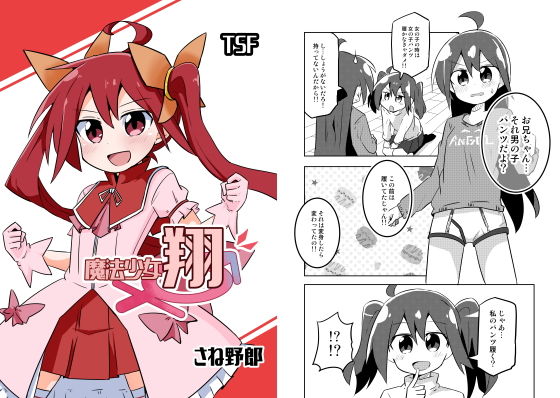 魔法少女 翔(さね野郎) [d_178231]