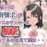 片思いの幼馴染がクラスのヤンキーに調教されてるのを見て僕は・・・・(Lizard Mock) [d_178459]