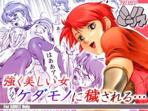 PRINCESSシーリス(精心堂) [d_179061]