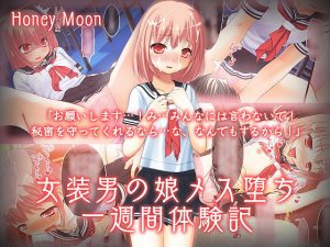 女装男の娘メス堕ち一週間体験記(Honey Moon) [d_180304]
