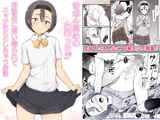 警戒心高めの女装っ子が同級生に言い寄られてエッチなことしちゃうお話(ゆるやか島) [d_180536]