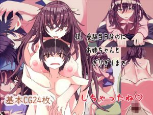 僕、受験当日なのにお姉ちゃんと、ぎりぎりまで・・・しちゃったね(SleeplessWalk) [d_182013]