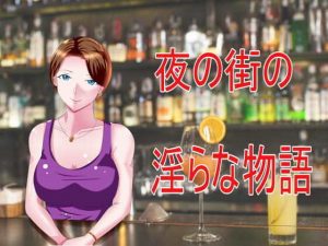 夜の街の淫らな物語(Sパートナーズ) [d_182744]