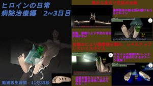 ヒロインの日常 病院治療編 ニ〜三日目（日本語、英語、中国語）(SFL) [d_183495]