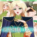 淫堕隷属エルフ(SLW) [d_184281]