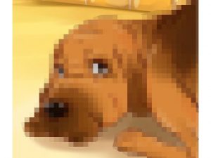 ブ○ッドハ○ンド(tontoro) [d_185451]