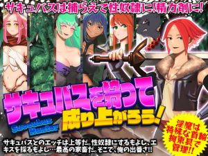 サキュバスを狩って成り上がろう！(第七飛行中隊（紫電改）) [d_186052]