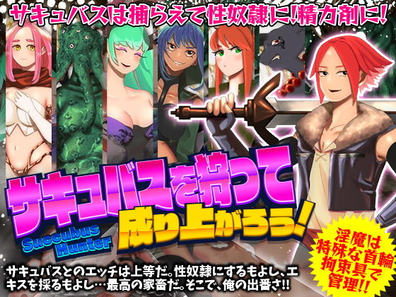 サキュバスを狩って成り上がろう！(第七飛行中隊（紫電改）) [d_186052]