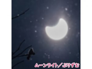 【シングル】ムーンライト/ぷりずむ(なないろぼっくす) [d_187318]