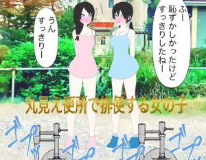 丸見え便所で排便する女の子(Hな町の物語) [d_188510]