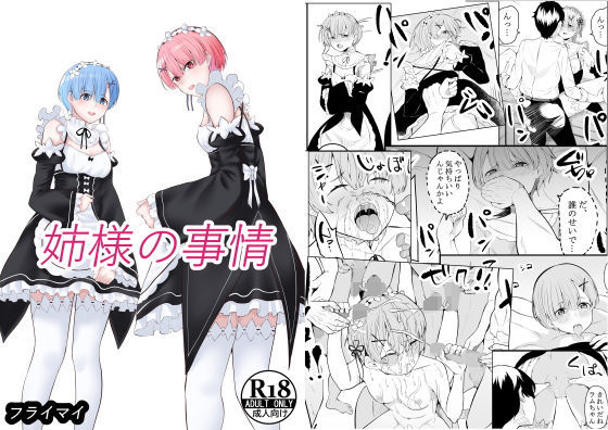 姉様の事情(フライマイ) [d_188997]