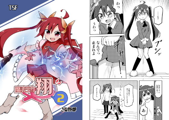 魔法少女翔2(さね野郎) [d_190743]