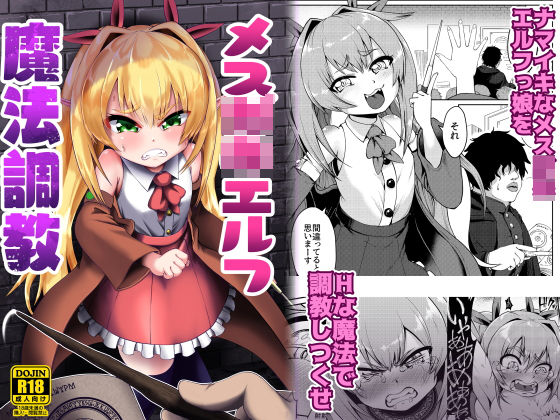 メス○○○エルフ魔法調教(お解りいただけただろうか) [d_191339]