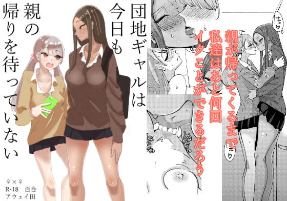 団地ギャルは今日も親の帰りを待っていない(アウェイ田) [d_192845]