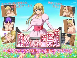 堕落した監禁姫〜愛する王子が寝取られ堕落するまで〜(パフ) [d_193218]