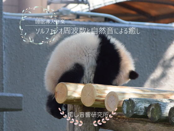 ソルフェジオ周波数と自然音による癒し(癒し音響研究所) [d_193270]