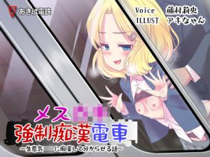 メス○○強●痴●電車(あきは電鉄) [d_193422]