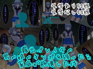 露出プレイ中の男の娘のチンポを握ったら家庭が崩壊した件(ハードコア001) [d_194096]