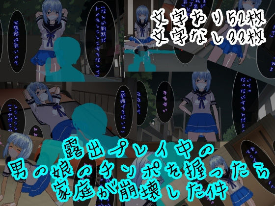 露出プレイ中の男の娘のチンポを握ったら家庭が崩壊した件(ハードコア001) [d_194096]