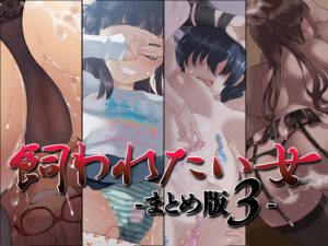 飼われたい女 ―まとめ版3―(Aボイス) [d_194124]