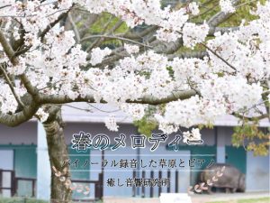 春のメロディー バイノーラル録音した草原とピアノ(癒し音響研究所) [d_194156]