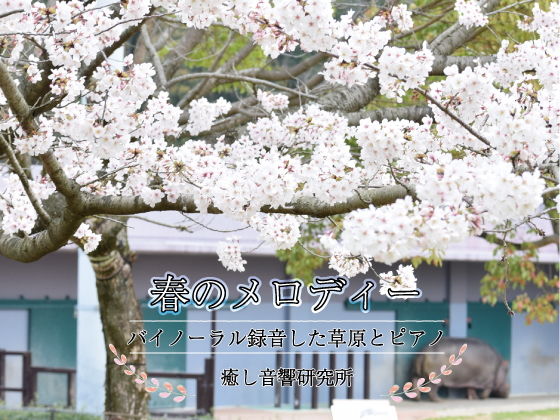 春のメロディー バイノーラル録音した草原とピアノ(癒し音響研究所) [d_194156]