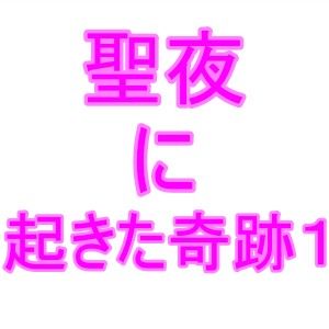 聖夜に起きた奇跡(夜見玲奈) [d_194162]