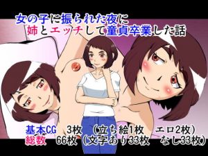 女の子に振られた夜に姉とエッチして童貞卒業した話(アンダースロー) [d_194628]