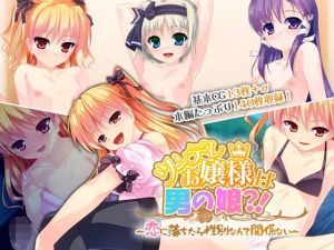 ツンデレお嬢様は男の娘？！ 〜恋に落ちたら性別なんて関係ない〜(どろっぷす！) [d_194753]