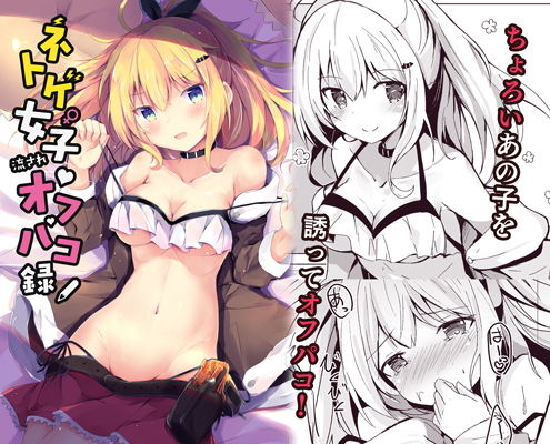 ネトゲ女子流されオフパコ録(あとりえひなた) [d_195111]