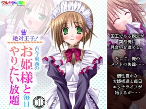 絶対王子！古今東西のお姫様と毎日やりたい放題 1巻(アロマコミック) [d_195285]