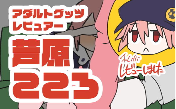 アダルトグッツレビュアー 芦原こころ(800。屋) [d_195654]