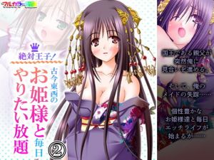 絶対王子！古今東西のお姫様と毎日やりたい放題 2巻(アロマコミック) [d_196576]