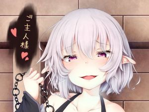 ご主人様遊びましょ？(Sasaria) [d_198250]