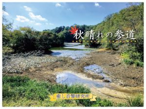 秋晴れの参道 バイノーラル録音によるバーチャル参拝(癒し音響研究所) [d_198540]